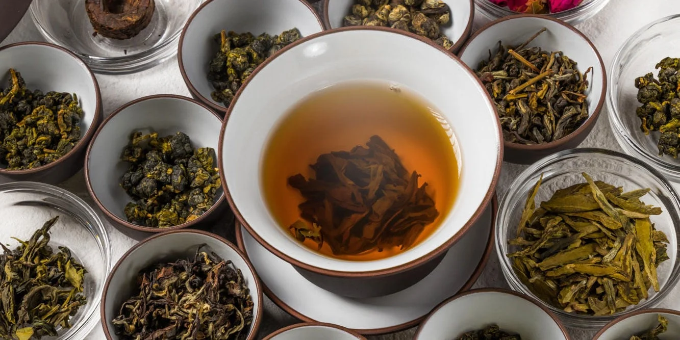 A Beginner's Guide to Drinking Oolong Tea